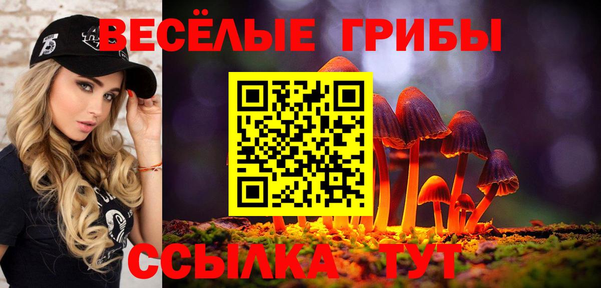 Псилоцибиновые грибы Psilocybe Лесной